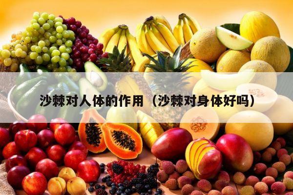 沙棘对人体的作用（沙棘对身体好吗）