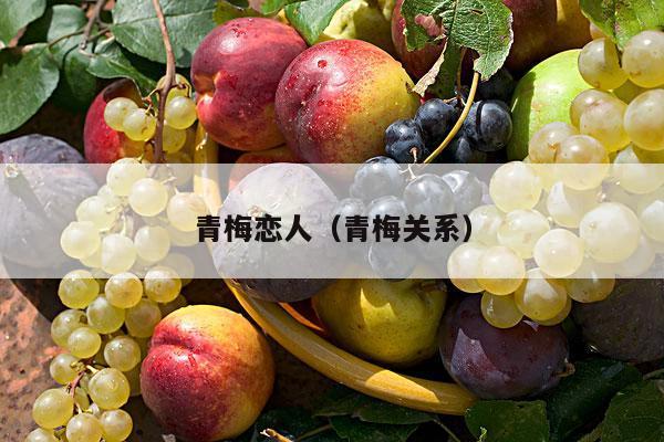 青梅恋人（青梅关系）
