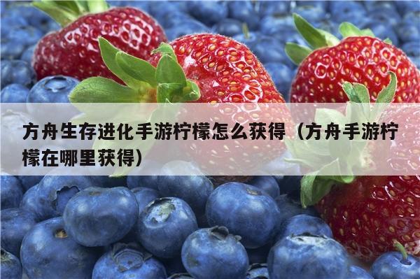 方舟生存进化手游柠檬怎么获得（方舟手游柠檬在哪里获得）