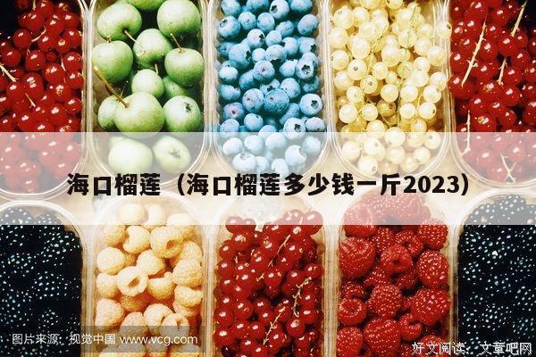 海口榴莲（海口榴莲多少钱一斤2023）