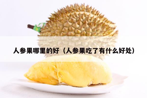 人参果哪里的好（人参果吃了有什么好处）