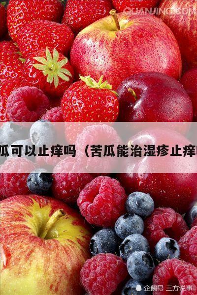 苦瓜可以止痒吗（苦瓜能治湿疹止痒吗）