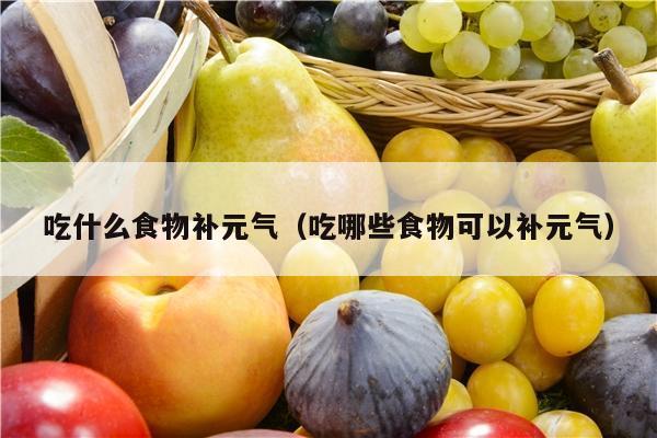 吃什么食物补元气（吃哪些食物可以补元气）
