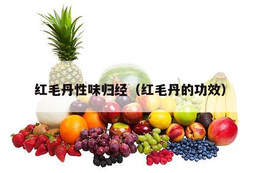红毛丹性味归经（红毛丹的功效）