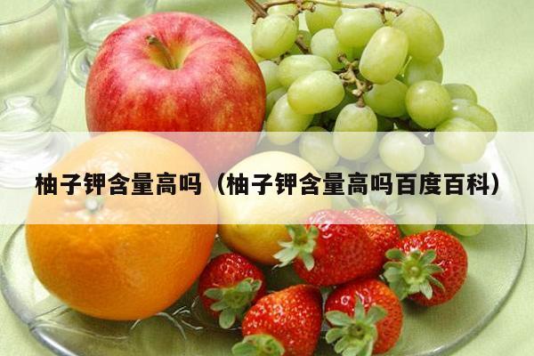 柚子钾含量高吗（柚子钾含量高吗百度百科）