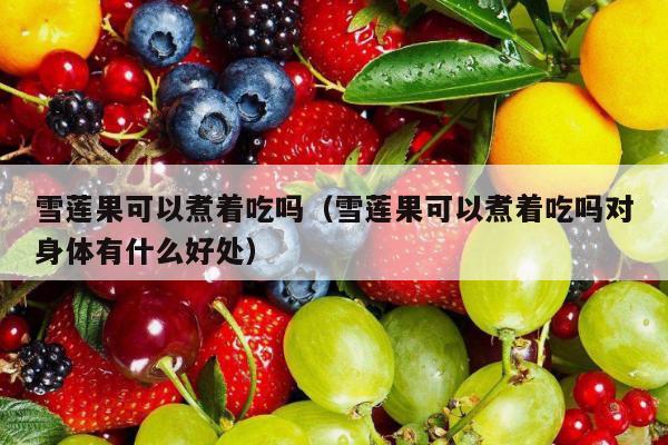雪莲果可以煮着吃吗（雪莲果可以煮着吃吗对身体有什么好处）