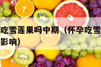 怀孕可以吃雪莲果吗中期（怀孕吃雪莲果对胎儿有什么影响）