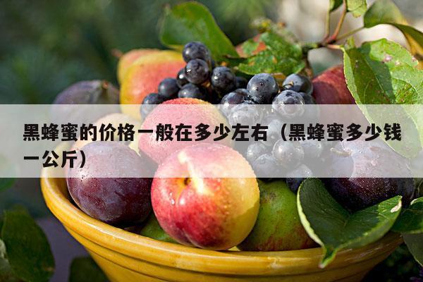 黑蜂蜜的价格一般在多少左右（黑蜂蜜多少钱一公斤）