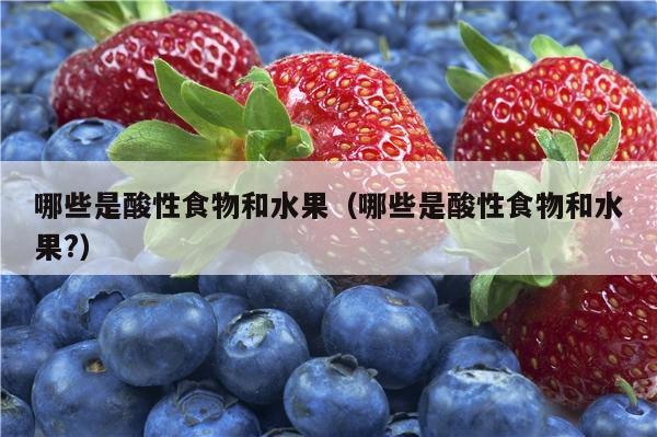 哪些是酸性食物和水果（哪些是酸性食物和水果?）