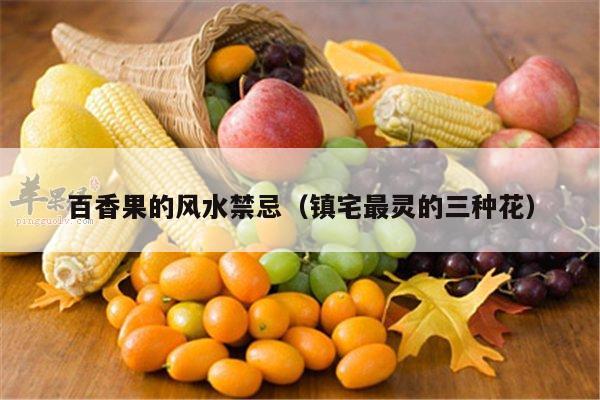 百香果的风水禁忌（镇宅最灵的三种花）