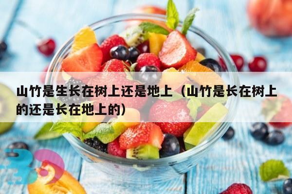 山竹是生长在树上还是地上（山竹是长在树上的还是长在地上的）