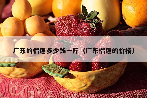 广东的榴莲多少钱一斤（广东榴莲的价格）
