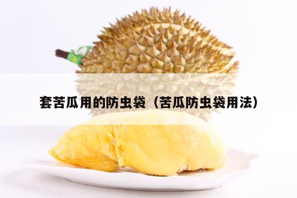 套苦瓜用的防虫袋（苦瓜防虫袋用法）