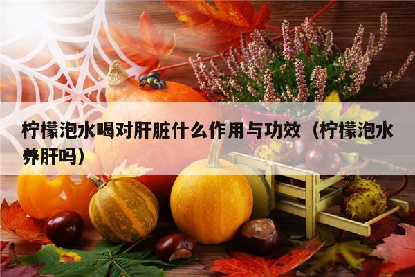 柠檬泡水喝对肝脏什么作用与功效（柠檬泡水养肝吗）