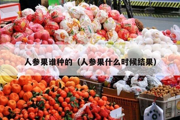 人参果谁种的（人参果什么时候结果）