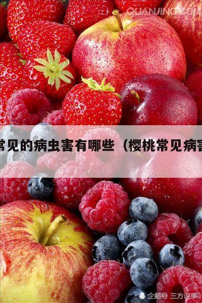 樱桃常见的病虫害有哪些（樱桃常见病害有哪几种）