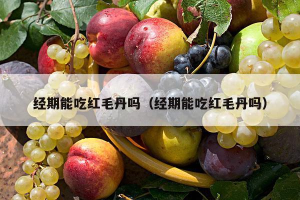 经期能吃红毛丹吗（经期能吃红毛丹吗）