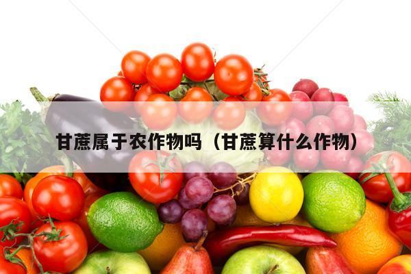 甘蔗属于农作物吗（甘蔗算什么作物）