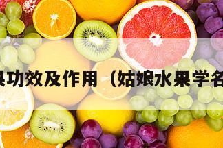 姑娘水果功效及作用（姑娘水果学名叫什么）
