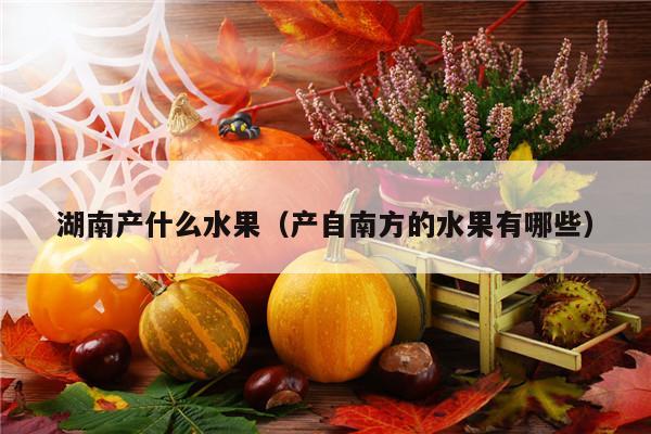 湖南产什么水果（产自南方的水果有哪些）