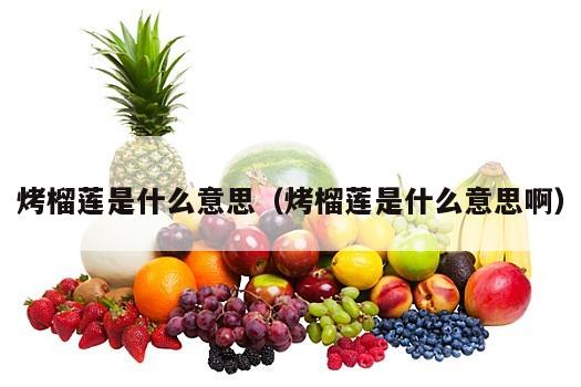 烤榴莲是什么意思（烤榴莲是什么意思啊）