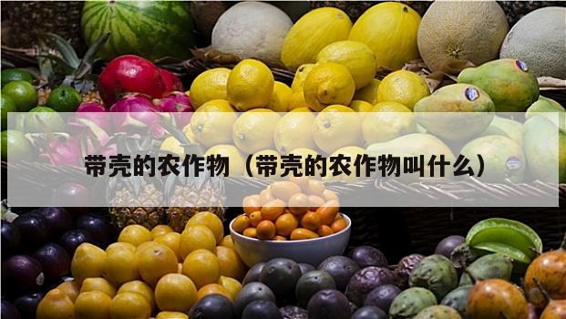 带壳的农作物（带壳的农作物叫什么）