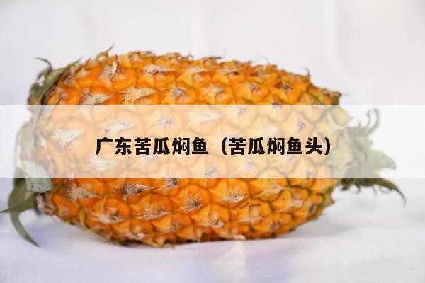 广东苦瓜焖鱼（苦瓜焖鱼头）
