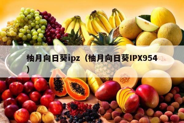 柚月向日葵ipz（柚月向日葵IPX954）