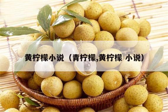 黄柠檬小说（青柠檬,黄柠檬 小说）