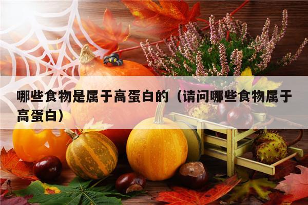 哪些食物是属于高蛋白的（请问哪些食物属于高蛋白）