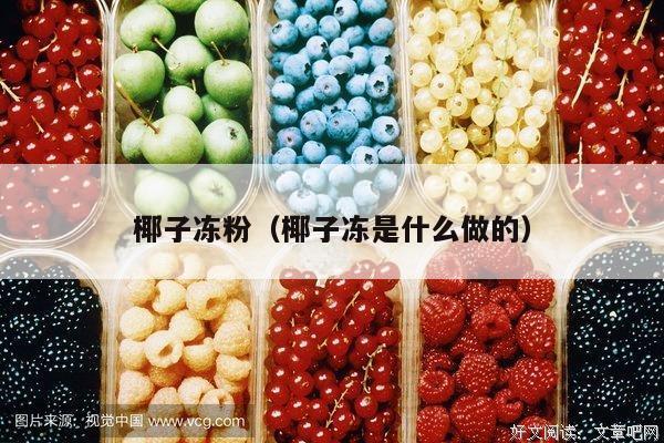 椰子冻粉（椰子冻是什么做的）