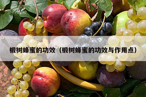 椴树蜂蜜的功效（椴树蜂蜜的功效与作用点）