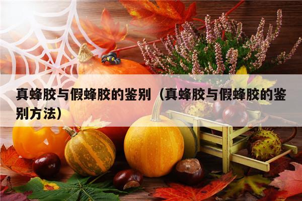 真蜂胶与假蜂胶的鉴别（真蜂胶与假蜂胶的鉴别方法）