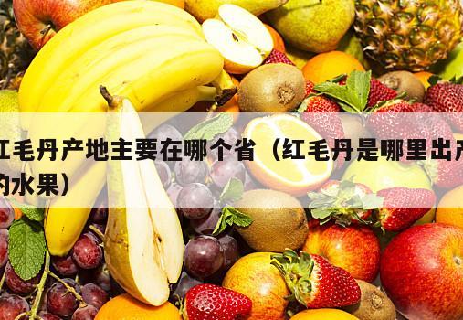 红毛丹产地主要在哪个省（红毛丹是哪里出产的水果）