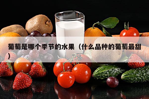 葡萄是哪个季节的水果（什么品种的葡萄最甜）