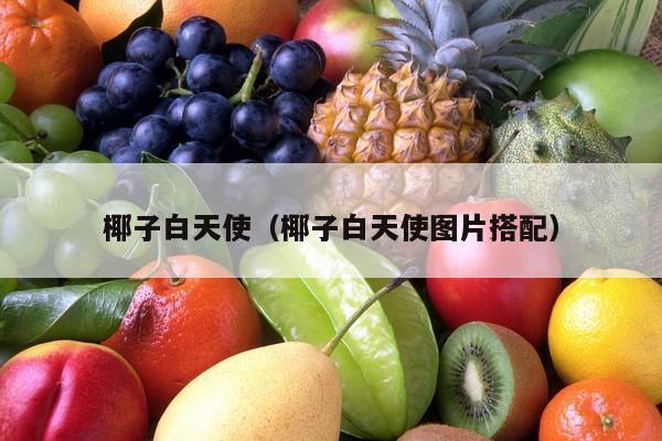 椰子白天使（椰子白天使图片搭配）