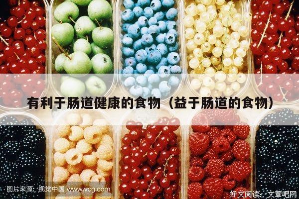 有利于肠道健康的食物（益于肠道的食物）