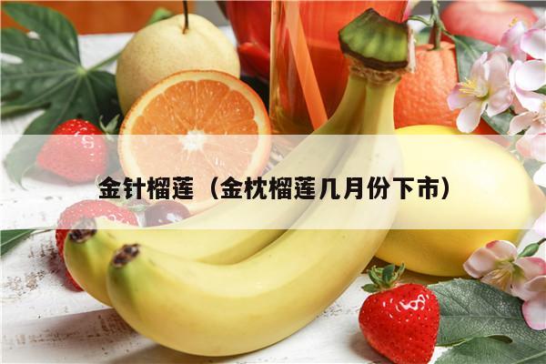 金针榴莲（金枕榴莲几月份下市）