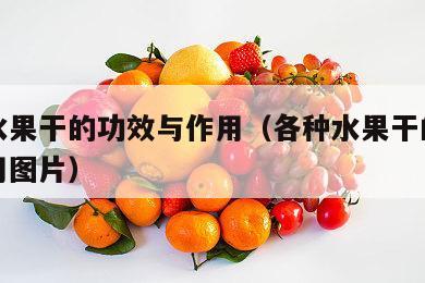 各种水果干的功效与作用（各种水果干的功效与作用图片）