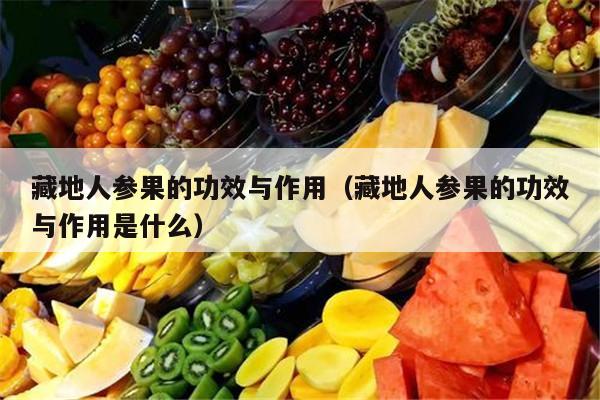 藏地人参果的功效与作用（藏地人参果的功效与作用是什么）