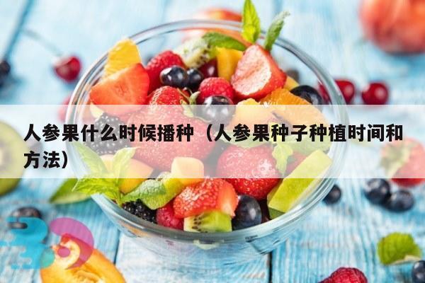 人参果什么时候播种（人参果种子种植时间和方法）