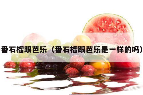 番石榴跟芭乐（番石榴跟芭乐是一样的吗）