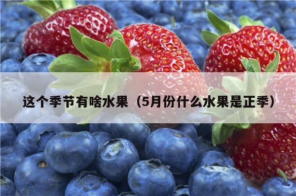 这个季节有啥水果（5月份什么水果是正季）