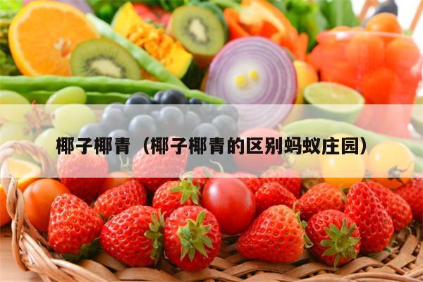 椰子椰青（椰子椰青的区别蚂蚁庄园）