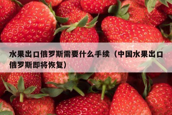 水果出口俄罗斯需要什么手续（中国水果出口俄罗斯即将恢复）