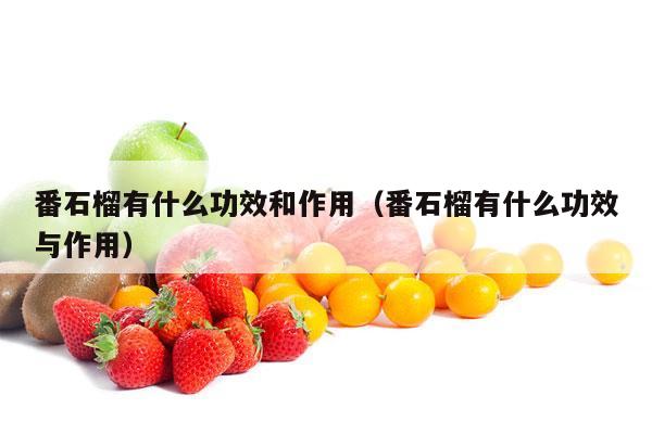 番石榴有什么功效和作用（番石榴有什么功效与作用）
