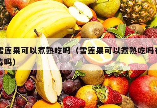 雪莲果可以煮熟吃吗（雪莲果可以煮熟吃吗有毒吗）