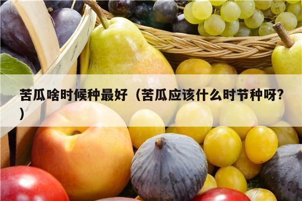 苦瓜啥时候种最好（苦瓜应该什么时节种呀?）