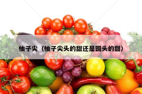 柚子尖（柚子尖头的甜还是圆头的甜）