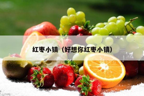 红枣小镇（好想你红枣小镇）